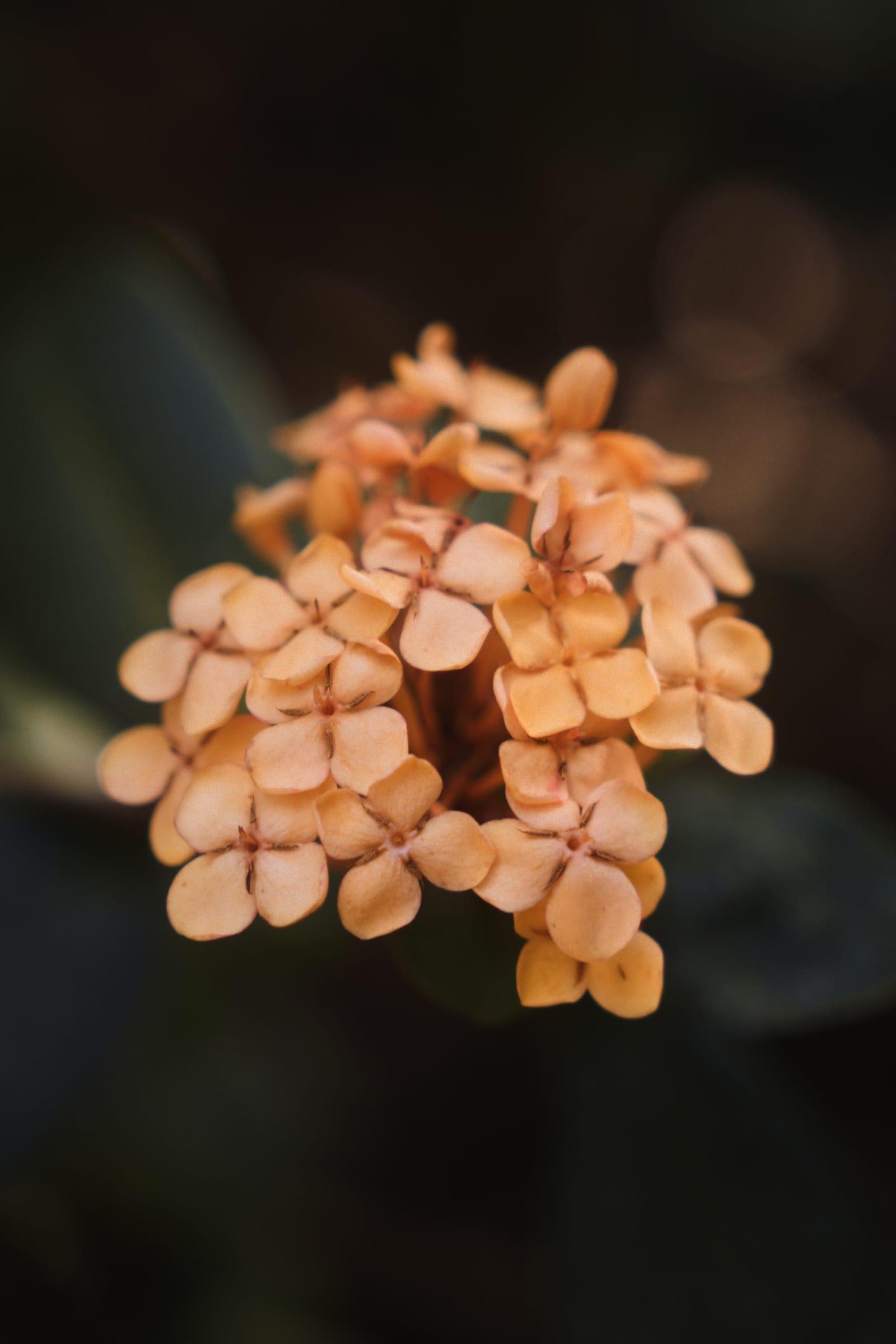 Photograph by Amir Abdur-Rahim, 2025-05-07 — ILCE-6700, 18-50mm F2.8 DC DN | Contemporary 021